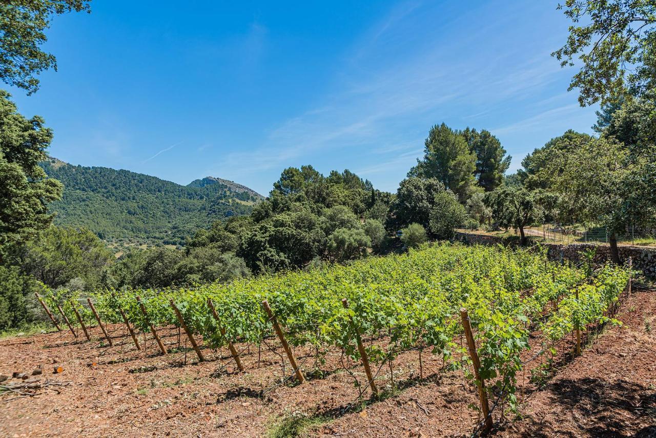 Picassa Villa Pollença Buitenkant foto