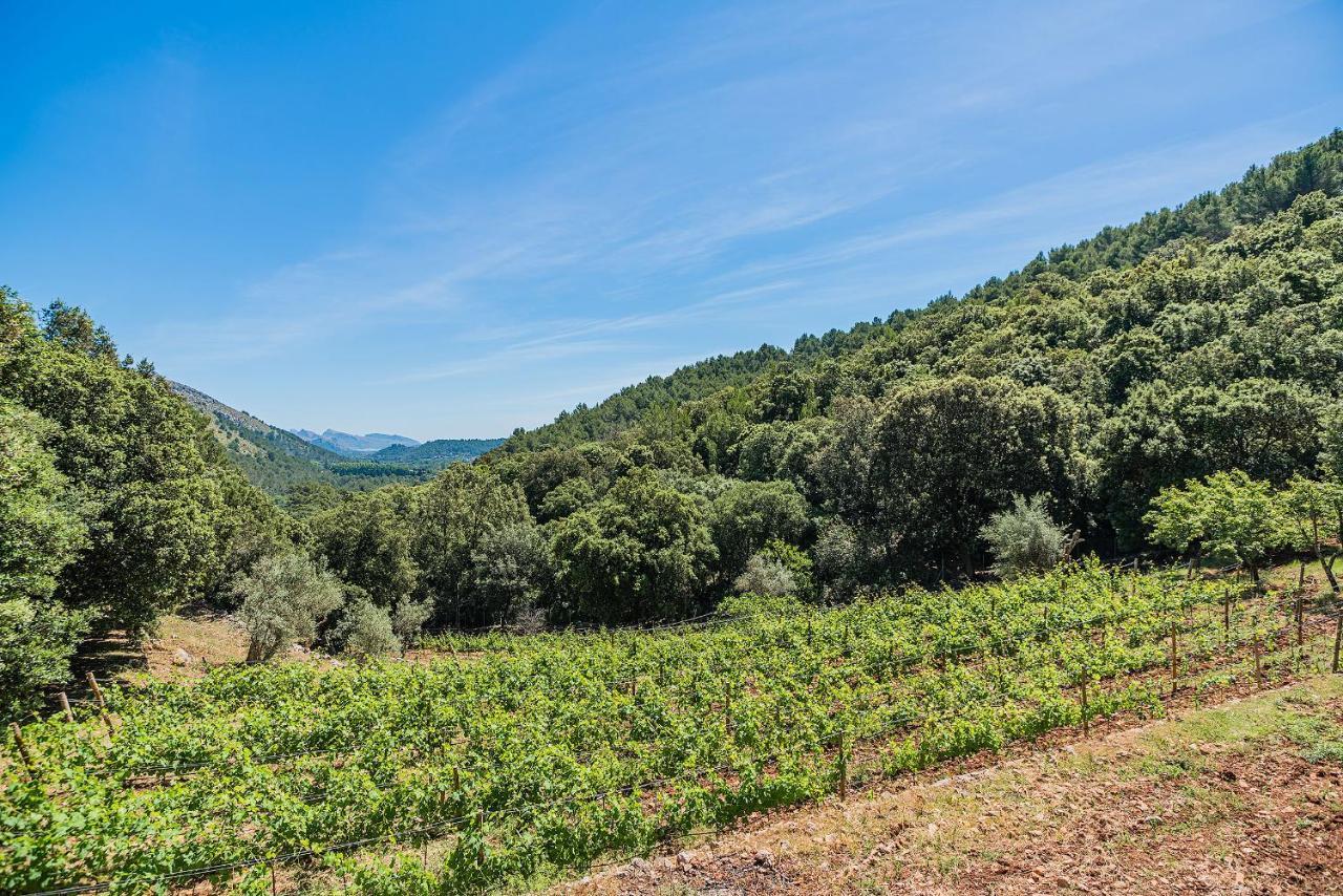 Picassa Villa Pollença Buitenkant foto